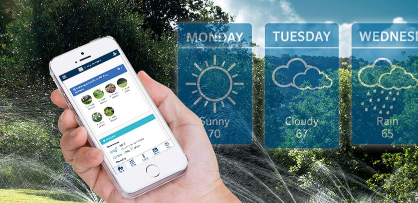 Smart irrigation app showing a watering schedule adjusted to the weather forecast